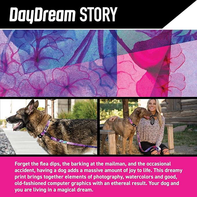 Wolfgang Heavy Duty Martingale Dog Collar with Quick Release Nylon Buckle for Walking & Training, Daydream Print, Medium