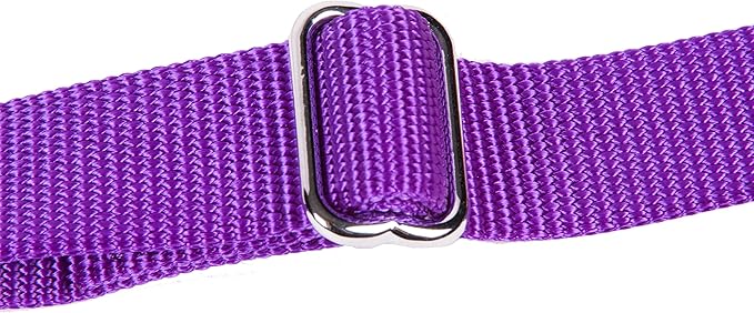 GOGO Pet Products 3/8-Inch Martingale Dog Collar, X-Small, Purple