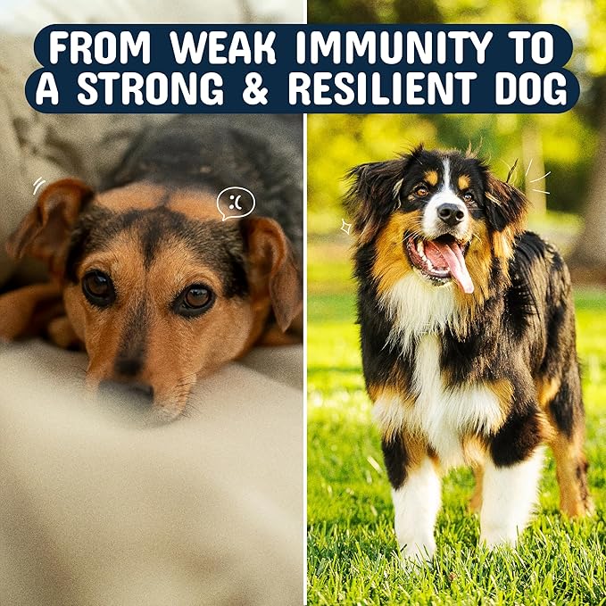 Pets are Kids Turkey Tail Mushroom for Dogs with Organic Real Turkey Tail™ - 8:1 Extract Mushroom Chews for Lumps & Bumps, Immunity, Gut, Skin, Joint & Spine Support - Reishi, Lion’s Mane - 120 Chews