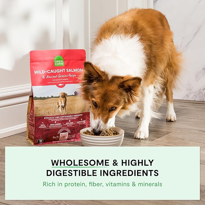 Open Farm, Ancient Grains Dry Dog Food, Protein-Rich & Nutrient Dense, 90% Animal Protein Mixed with Non-GMO Fruits, Veggies and Superfoods, Grass-Fed Beef Recipe, 4lb Bag