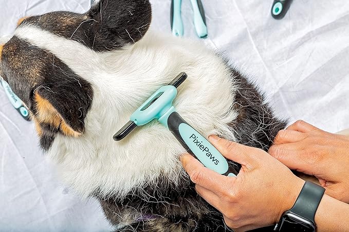 Pixie Paws Grooming Pet Brush 6 Piece Set, Dog and Cat Kit, Dematting Comb, Deshedding Fur, Toothbrush Clean Teeth, Remove Knot Tangles, Nail Clippers, Comfortable Handle - 530004E