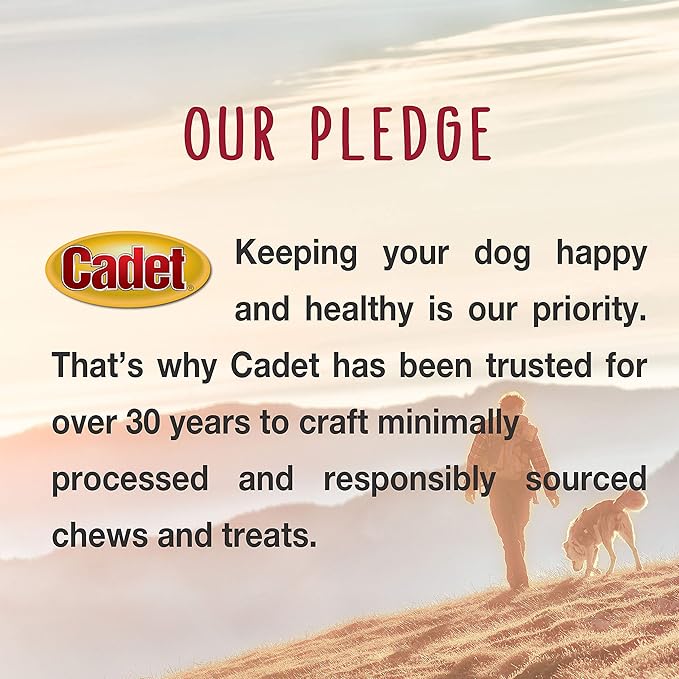 Cadet Premium Grade Beef Hide for Dogs, Long-Lasting Munchy Chew Sticks, Single-Ingredient Rawhide Dog Chews, 5-Inch, 100 Count