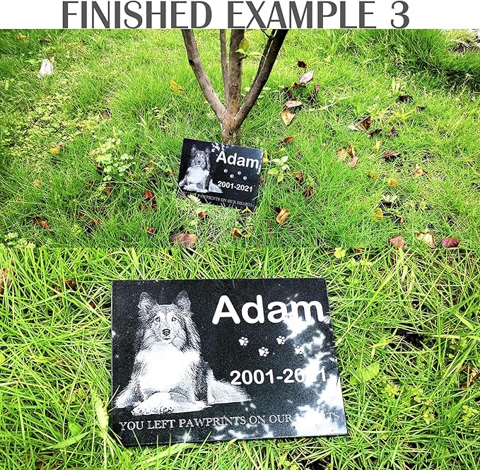 ADFSTONE 12" Round Shaped Pet Memorial Stones Personalized Dog Remembrance Gifts, Customized Cat Picture Grieving Plaque, DIY Gravestone, Custom Sympathy Photo Gift, Animal Grave Markers