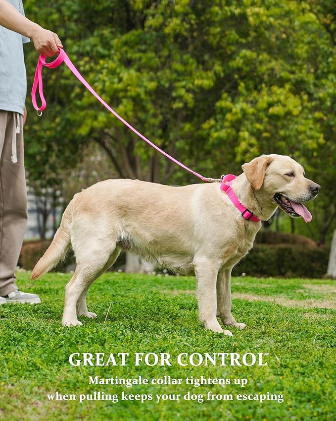 Waterproof Martingale Collar for Dogs,Easy to Clean Dog Collars with Safety Quick Release Buckle,Rubber Collar for Medium Large Dogs Walking Training (Pink, M (16.5-20.8inch))
