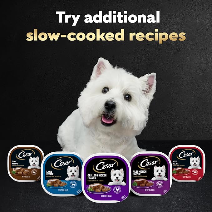 Cesar Wet Dog Food Classic Loaf in Sauce Butcher's Selects Variety Pack, Dry-Aged Ribeye Flavor and Filet Mignon Flavor, 3.5 oz. Easy Peel Trays, Variety Pack, 12 Count