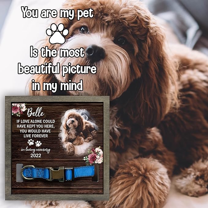 Customized Dog Collar Frame Memorial Pet Remembrance Gifts in Memory of Dog Cat Pet Loss Sign for Dogs Lover Gifts Sentimental Quote Pet Keepsake Remembrance Pet Sympathy Gifts Christmas Idea