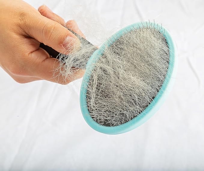 Pixie Paws Grooming Pet Brush 6 Piece Set, Dog and Cat Kit, Dematting Comb, Deshedding Fur, Toothbrush Clean Teeth, Remove Knot Tangles, Nail Clippers, Comfortable Handle - 530004E