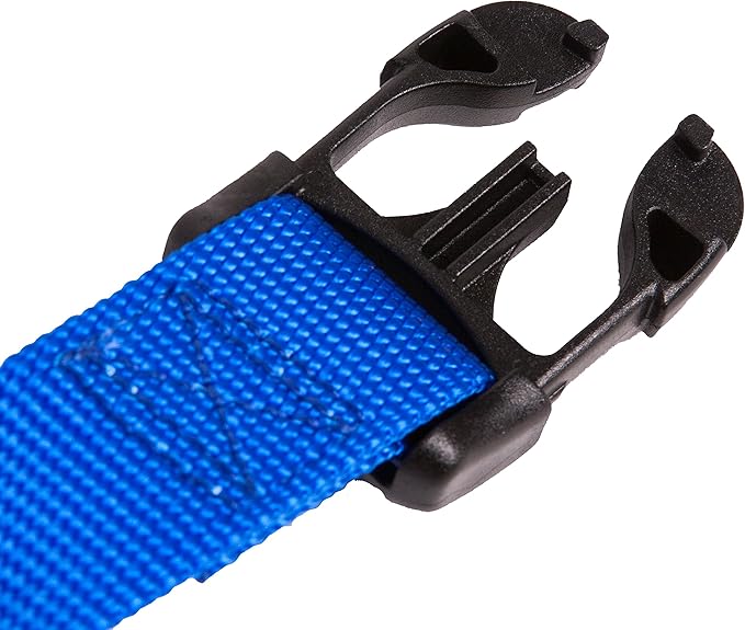 GOGO Pet Products 1-Inch Martingale Dog Collar, Large, Blue