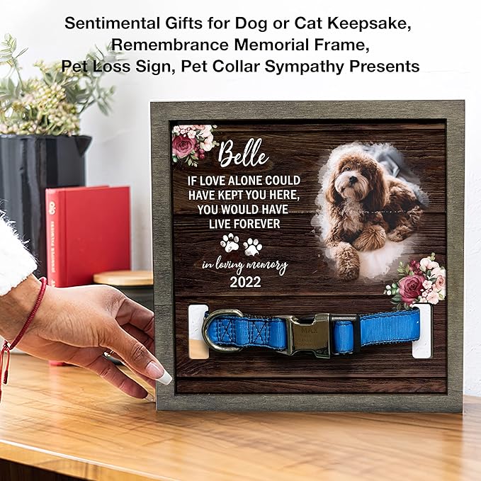 Customized Dog Collar Frame Memorial Pet Remembrance Gifts in Memory of Dog Cat Pet Loss Sign for Dogs Lover Gifts Sentimental Quote Pet Keepsake Remembrance Pet Sympathy Gifts Christmas Idea