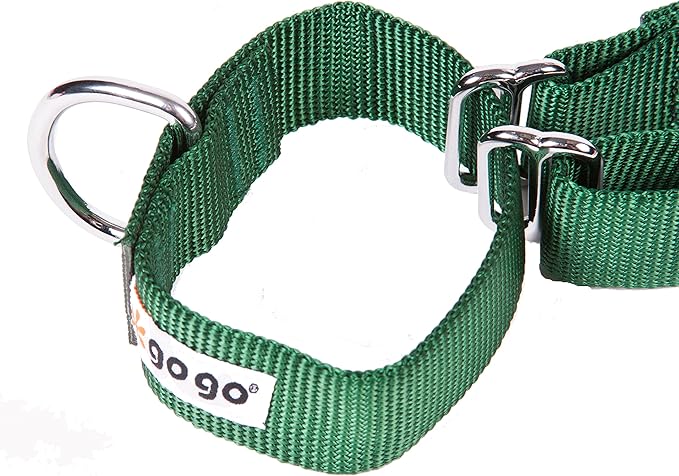 GOGO Pet Products 5/8-Inch Martingale Dog Collar, Small, Hunter Green