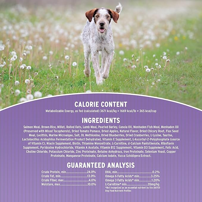 Annamaet Original Option Formula Dry Dog Food, 24% Protein (Salmon & Brown Rice), 12-lb Bag