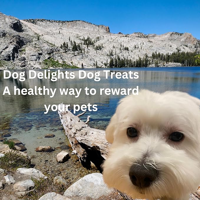 Dog Delights Beef Tendersticks, No Additives, No Preservatives, No Colours, Made in Canada (600g)