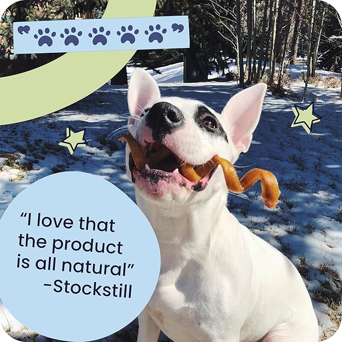 Pawstruck Natural 9” Braided Bully Sticks for Dogs - Tough, Long-Lasting, Rawhide-Free, Low Odor, Healthy Single Ingredient Chew Treat for Aggressive Chewers - 10 Count - Packaging May Vary