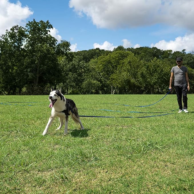 Hi Kiss Dog/Puppy Obedience Recall Training Agility Lead - 15ft 20ft 30ft 50ft 100ft Training Leash - Great for Training, Play, Camping, or Backyard - Pink 50ft