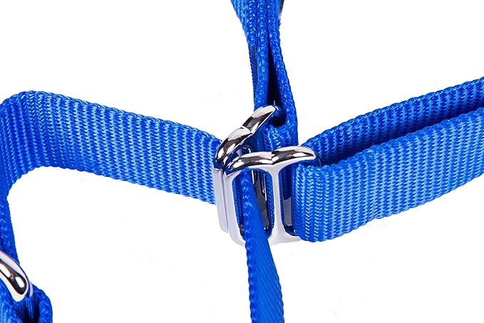 GOGO Pet Products 3/8-Inch Martingale Dog Collar, X-Small, Blue