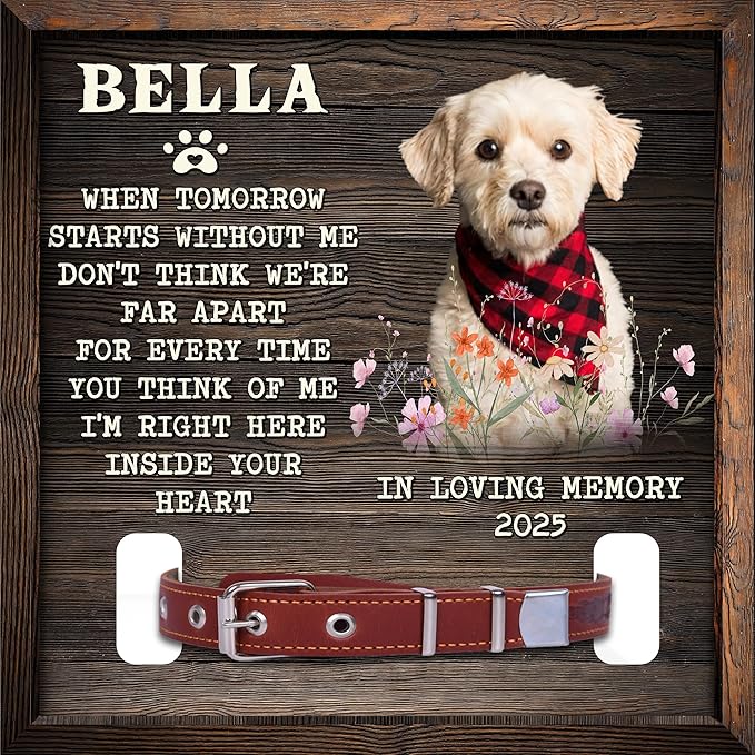 Dog Memorial Frame with Collar Holder Personalized Dog Photo Display for Loss of Pet Pet Remembrance Shadow Box Gift 8" x 8" Maple Wood Frame Color: Without You
