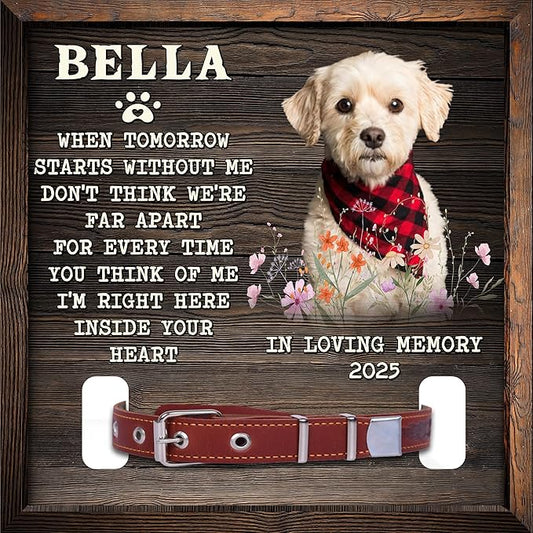 Dog Memorial Frame with Collar Holder Personalized Dog Photo Display for Loss of Pet Pet Remembrance Shadow Box Gift 8" x 8" Maple Wood Frame Color: Without You