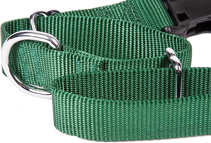 GOGO Pet Products 1-Inch Martingale Dog Collar, Large, Hunter Green