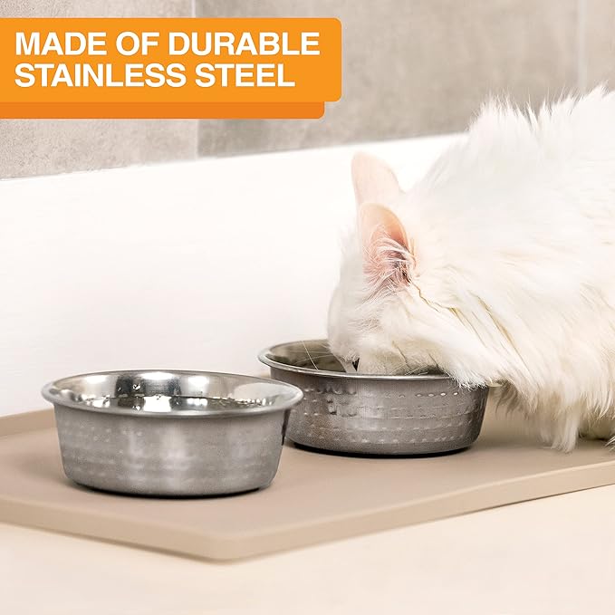Neater Pet Brands Hammered Decorative Designer Bowls - Luxury Style Premium Dog and Cat Dishes (Large, Stainless)