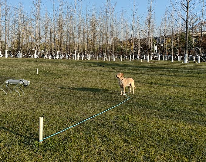 20FT Dog Tie Out Leash, Long Tether 10ft 15ft 20ft 30ft Nylon Rope Check Cord for Medium Large Dogs Indoor/Outdoor Playing Camping Backyard (Blue, 3/8")