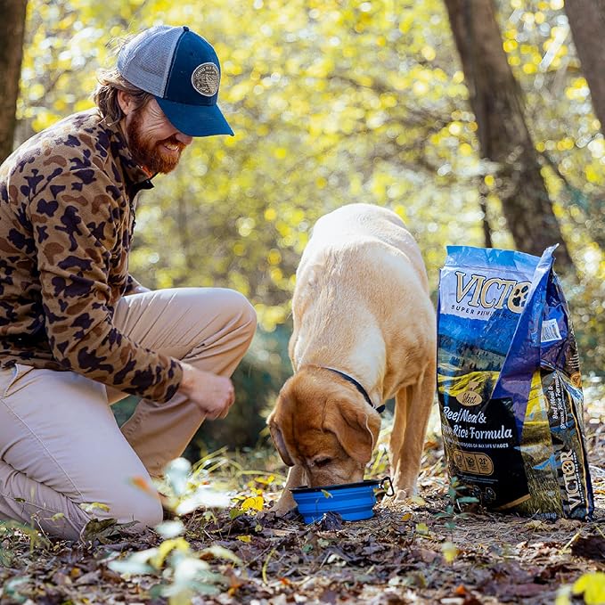 VICTOR Super Premium Dog Food – Select Beef Meal & Brown Rice Formula for Immune and Gut Health – Gluten-Free Beef Meal Dry Dog Food for All Normally Active Dogs of All Life Stages, 30 lbs