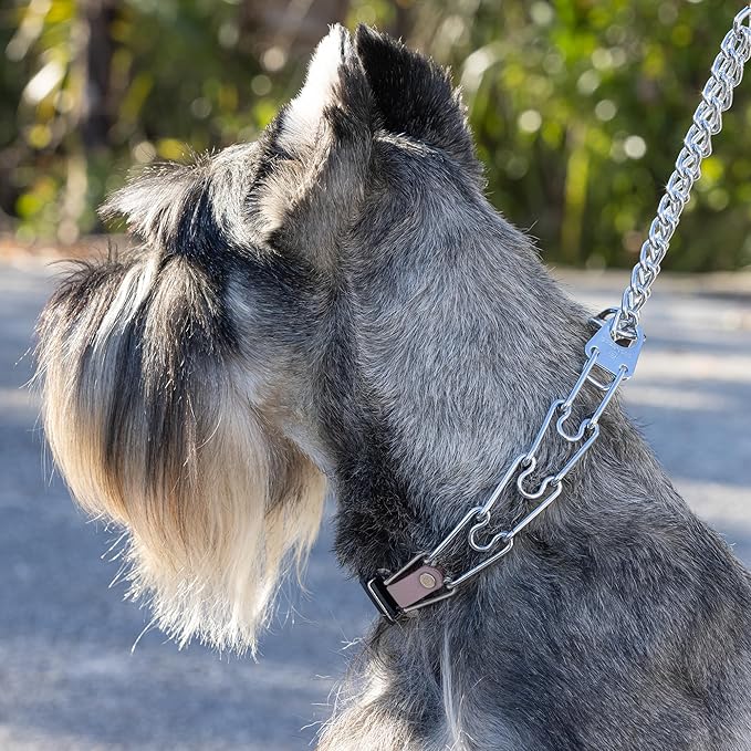 Herm Sprenger Chrome Plated Steel Dog Collar with Quick Release ClicLock Buckle and Biothane Insert Training Collar for Dogs Made in Germany (Pastel Purple, 22in x 3.0mm(Neck Size up to 18-19in))