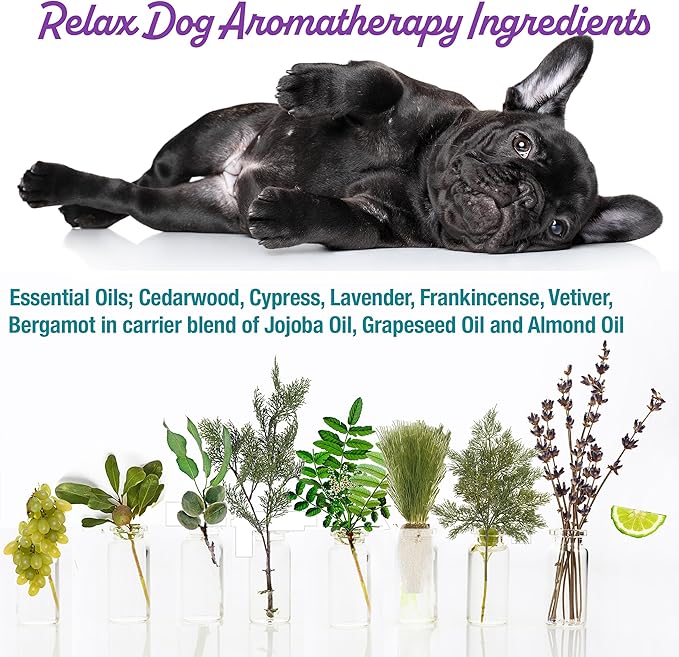 The Blissful Dog Pekingese Relax Roll-ON Aromatherapy for Dogs - Anxiety Relief for Dogs
