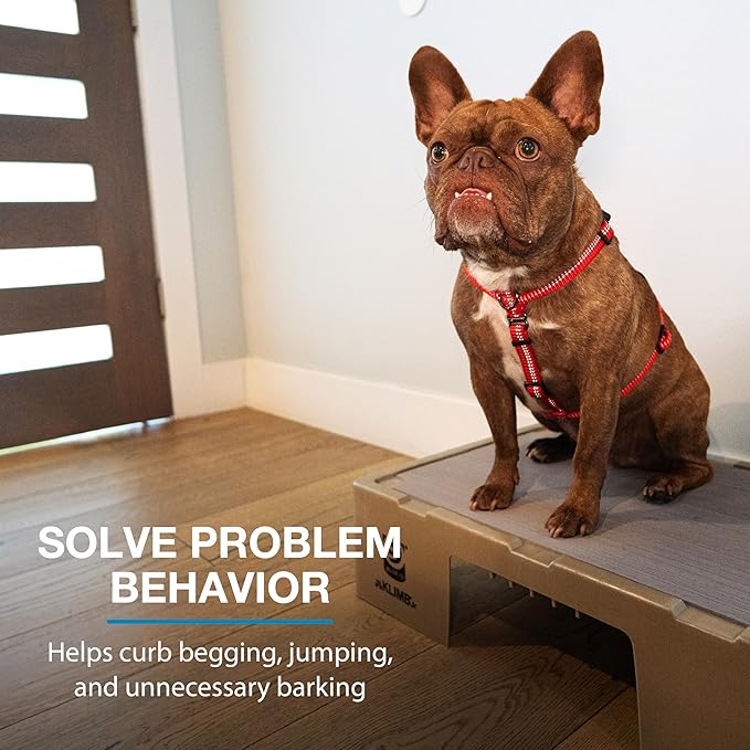 Blue-9 KLIMB Jr. Professionally Designed Dog Training Platform and DIY Guide for Behavior Basics, Made in The USA, Black