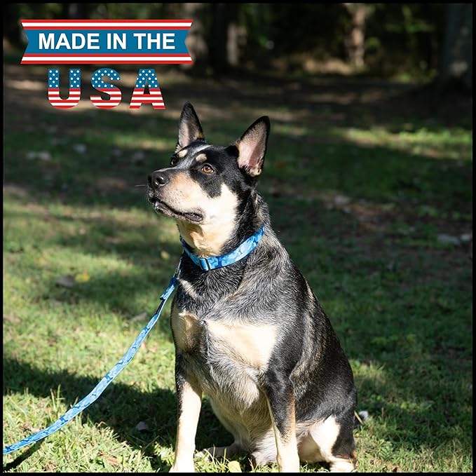 Country Brook Petz - Blue Bone Camo Martingale Dog Collar - Camouflage Collection Featuring Rugged Designs (1/2 Inch, 2XS)