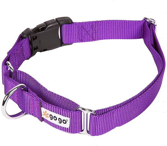 GOGO Pet Products 3/8-Inch Martingale Dog Collar, X-Small, Purple
