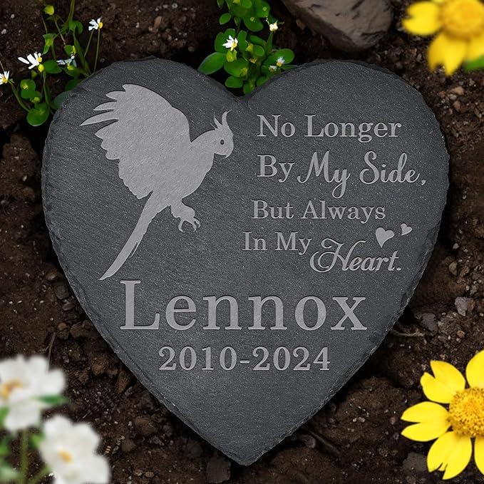 Parrot Memorial Stone Parrot Headstone - Memorial for Parrot - Loss of Parrot - Parrot Keepsake - Pet Remembrance Parrot - in Memory of Parrot (Heart-Shaped)