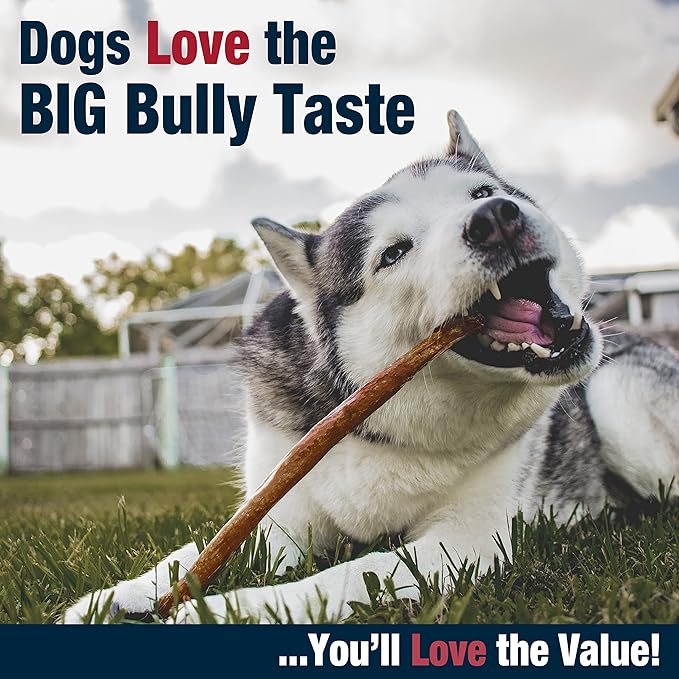 Cadet Bully Hide Sticks for Large Dogs, All-Natural Beef Pizzle, Limited-Ingredient Long-Lasting Dog Chews for Aggressive Chewers, 2 Count (Pack of 2)