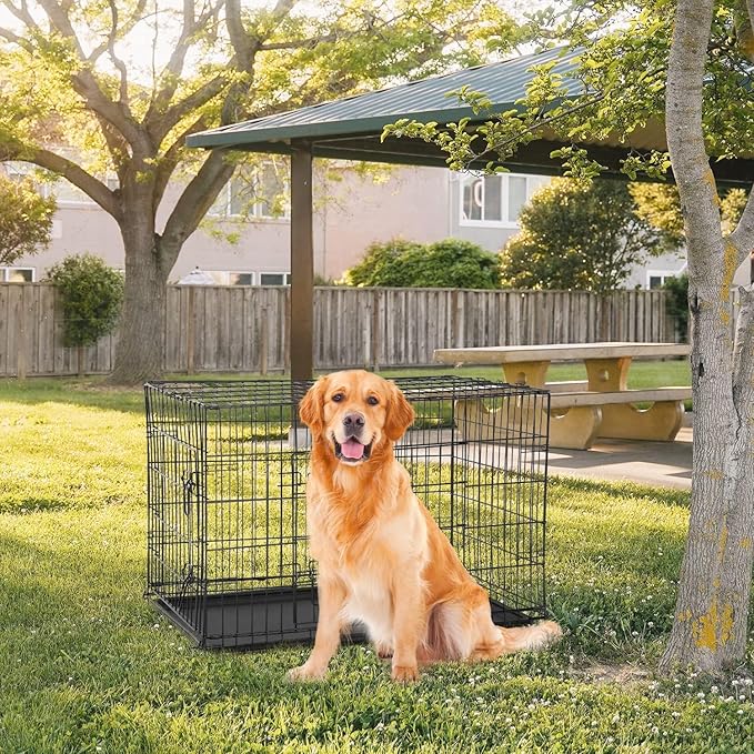 48 Inch Dog Crates for Large Dogs Folding Dog Cage Metal Wire Crates Portable Pet Kennels Outdoor and Indoor Pet Dog Cage Crate with Double-Door, Divider Panel, Removable Tray, Black