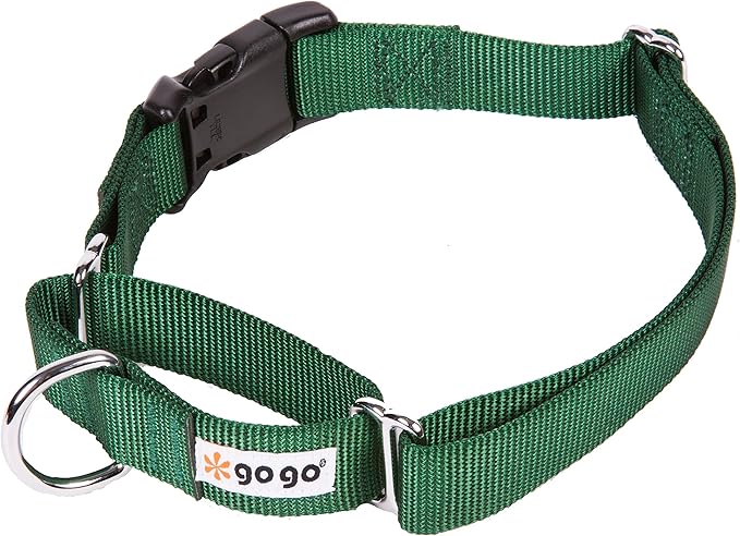GOGO Pet Products 1-Inch Martingale Dog Collar, Large, Hunter Green