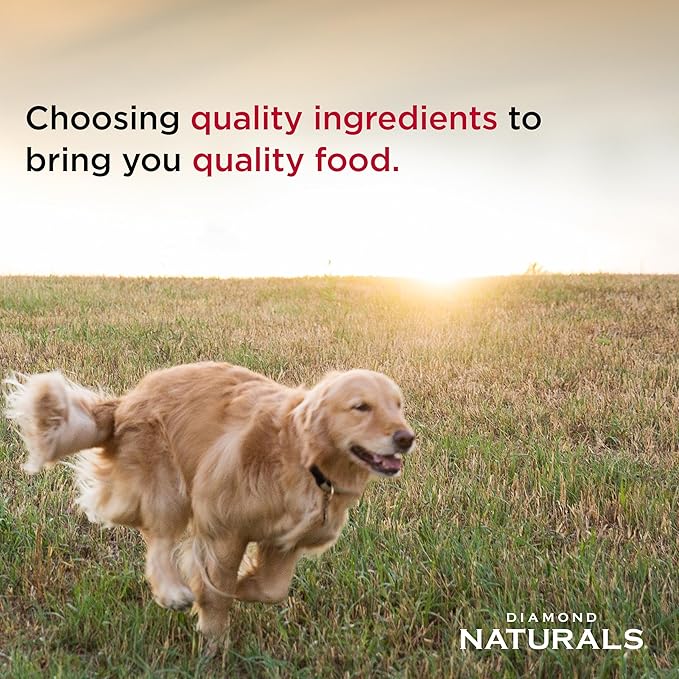 Diamond Naturals Skin & Coat Real Salmon and Potato Recipe Dry Dog Food with Protein, Superfoods, Probiotics and Essential Nutrients to Promote Healthy Skin and Coat 15lb