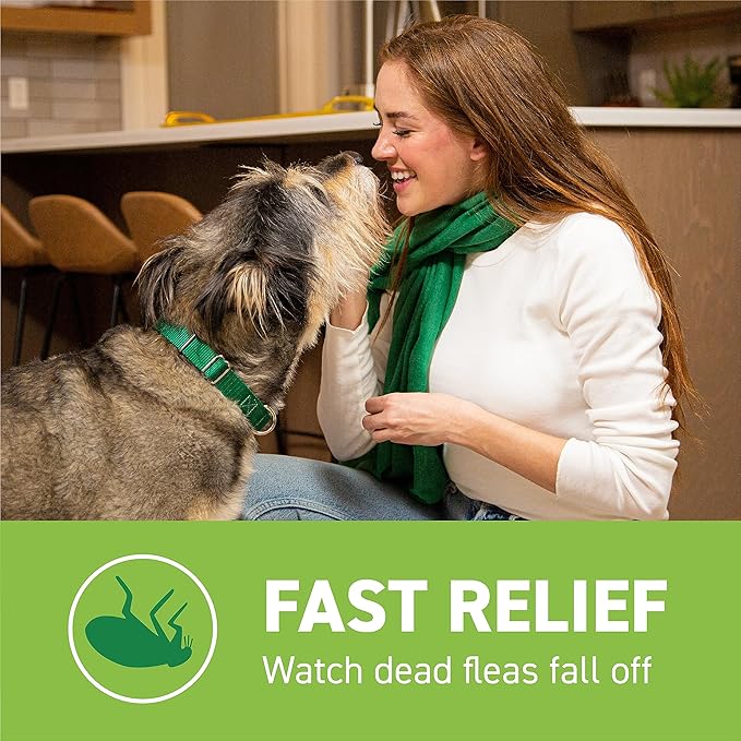 CAPSTAR Flea Treatment for Dogs Over 25 lbs (6 Doses) + NEXTSTAR Flea and Tick Prevention for X-Large Dogs 89-132 lbs (3 Doses) Bundle