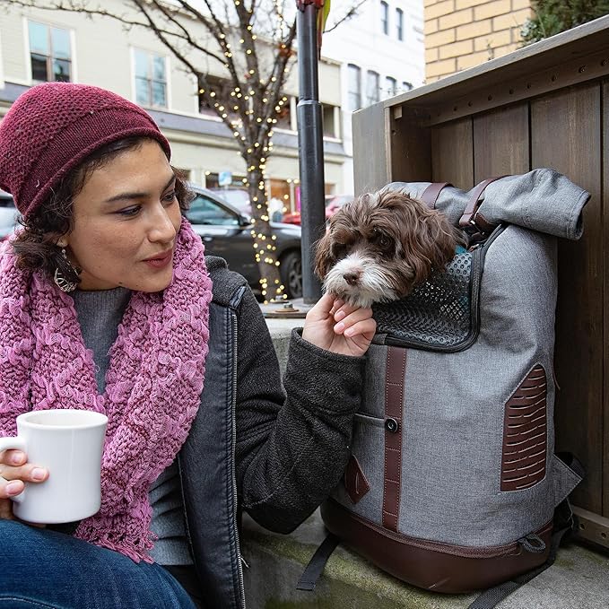 Kurgo Dog Carrier Backpack for Small Pets - Hands-Free Pet Travel Backpack - Armorsole Base - Convertible Backpack to Carrier - Rugged Pet Backpack - Heather Grey