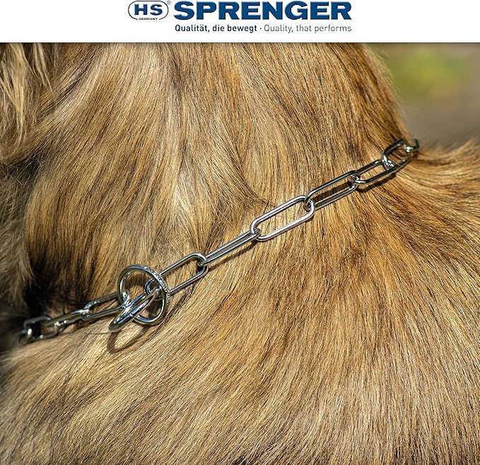 Herm Sprenger - Chrome Plated Steel Fur Saver Dog Collar - Long Link - Professional Training Collar for Small Petite Dogs - Puppy Collar - Correction Slip Chain - Made in Germany (18 inches (45 cm))