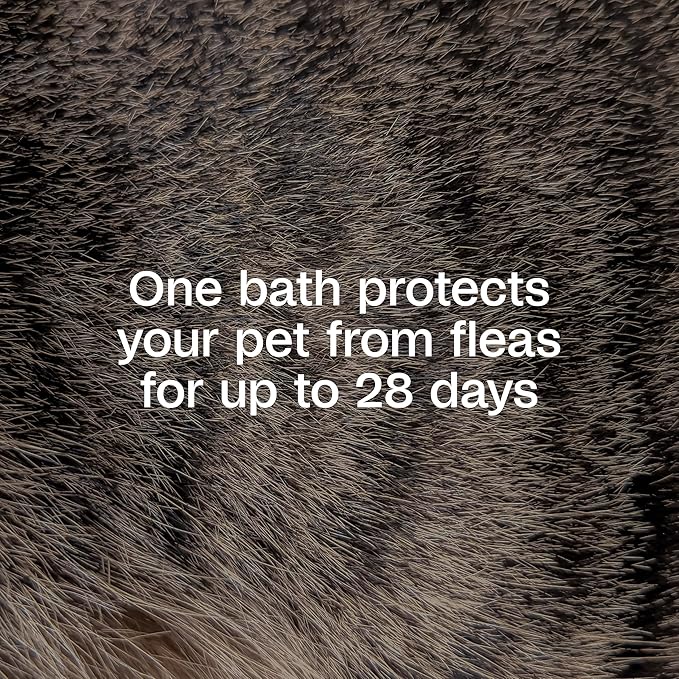ADAMS Plus Flea & Tick Foaming Shampoo & Wash for Dogs & Puppies, Flea Shampoo to Treat Flea Infestations, Kills Ticks, Fleas, Flea Eggs & Lice, Cleans and Conditions Coat, 10 Ounces